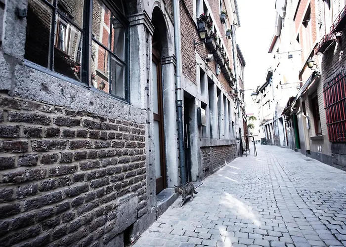 Casa de Férias Atypique - Coeur Historique De *